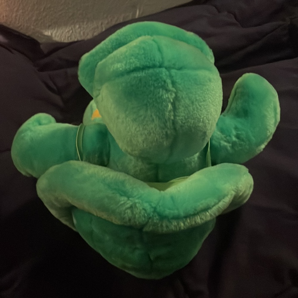 Turtle build-a-bear w/shell - Picture 4 of 4